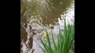 I catch Fish - and Man /// Fishing turns into Blowjob