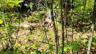 Watch how the wife fucks herself in the forest. Big dildo